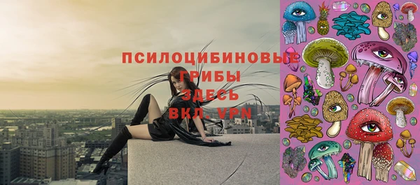 apvp Магас