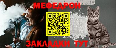 дмт Аргун