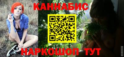 дмт Аргун