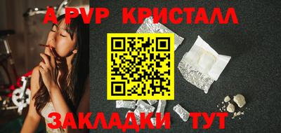 дмт Аргун