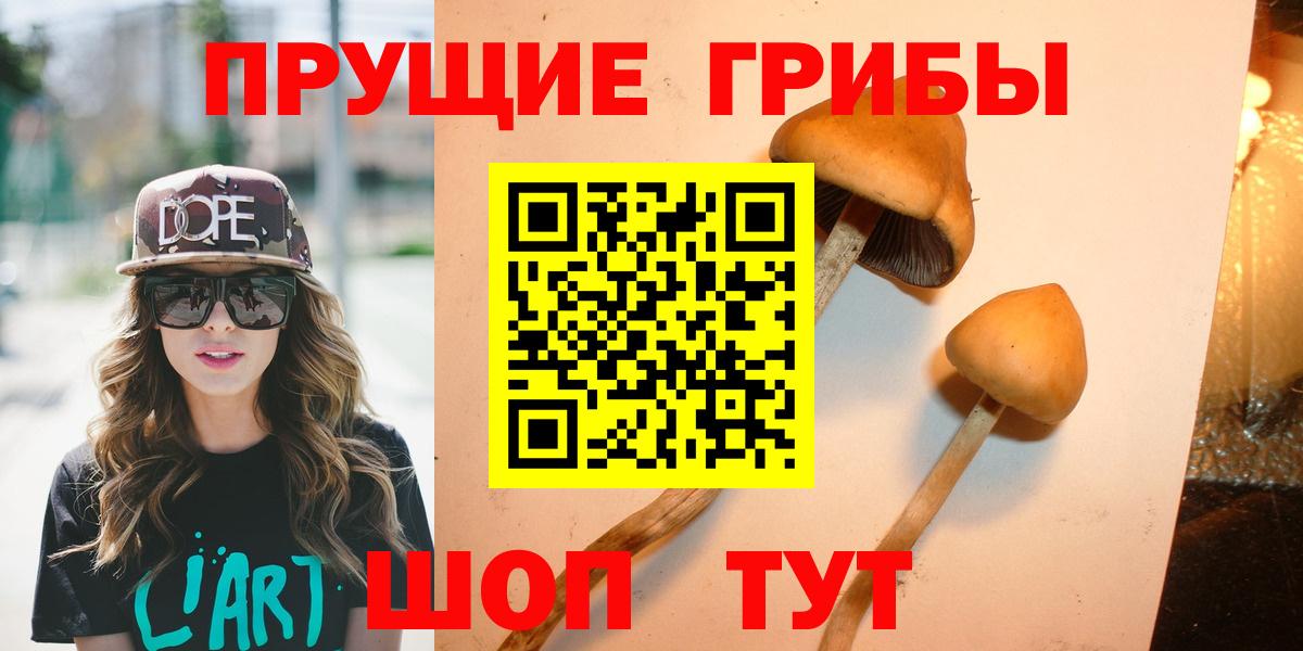Псилоцибиновые грибы Psilocybe  Вход с VPN  Белореченск 