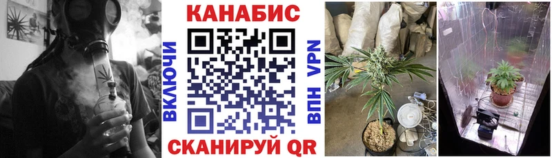 Бошки Шишки сатива  Белореченск 